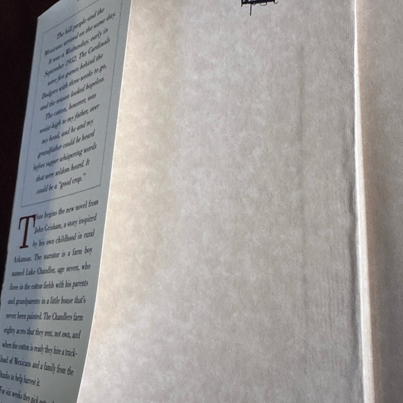 3 John Grisham Hardcover Books Street Lawyer Painted House The Testament 1st Ed - Picture 7 of 7